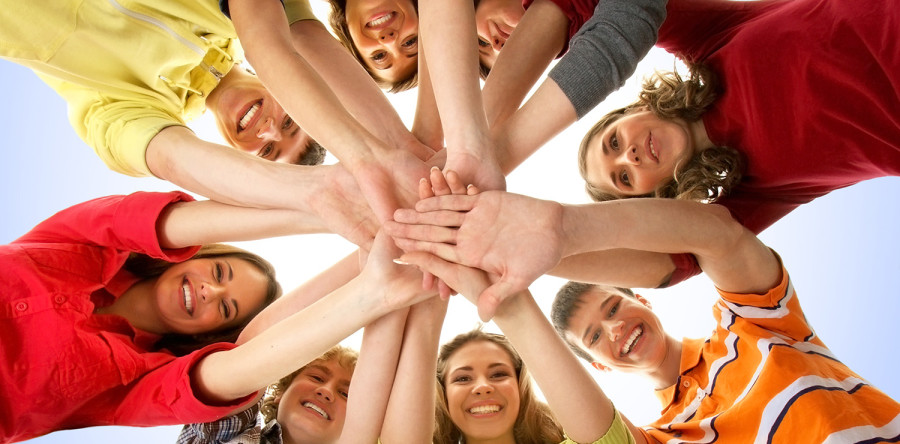 Suspendisse arcu nisl