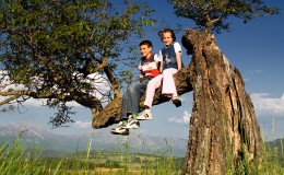 Carefree summer